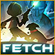 Fetch Game