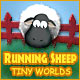 Running Sheep: Tiny Worlds Game