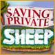 Saving Private Sheep Game
