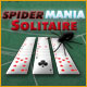 SpiderMania Solitaire Game