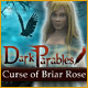 Dark Parables: Curse of the Briar Rose Game