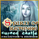 Download Spirit of Revenge: Cursed Castle Collector's Edition game