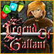 Legend of Gallant Game