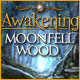 Awakening: Moonfell Wood Game