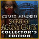 Cursed Memories: The Secret of Agony Creek Collector's Edition Game