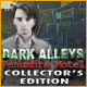 Dark Alleys: Penumbra Motel Collector`s Edition Game