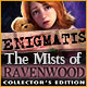 Download Enigmatis: The Mists of Ravenwood Collector's Edition game