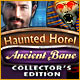 Haunted Hotel: Ancient Bane Collector's Edition Game
