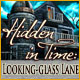 Hidden in Time: Looking-glass Lane Game