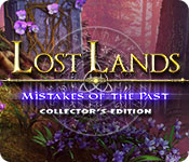 Lost Lands: Mistakes of the Past Collector's Edition game