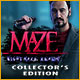 Download Maze: Nightmare Realm Collector's Edition game