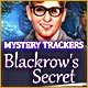 Download Mystery Trackers: Blackrow's Secret game