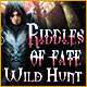 Riddles Of Fate: Wild Hunt Game