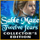Download Sable Maze: Twelve Fears Collector's Edition game