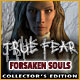 Download True Fear: Forsaken Souls Collector's Edition game