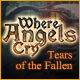 Download Where Angels Cry: Tears of the Fallen game