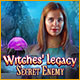 Download Witches' Legacy: Secret Enemy game