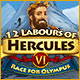 12 Labours of Hercules VI: Race for Olympus Game