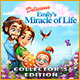 Delicious: Emily's Miracle of Life Collector's Edition Game