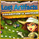 Lost Artifacts Collector's Edition Game
