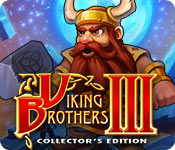 Viking Brothers 3 Collector's Edition game