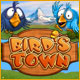 Bird's Town Game