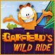Garfield's Wild Ride Game
