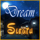 Dream Sleuth Game