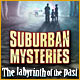 Suburban Mysteries: The Labyrinth of the Past Game