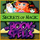 Secrets of Magic: The Book of Spells Game