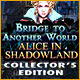 Download Bridge to Another World: Alice in Shadowland Collector's Edition game