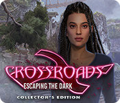 Crossroads: Escaping the Dark Collector's Edition game