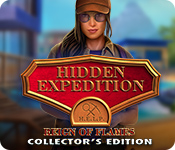 Hidden Expedition: Reign of Flames Collector's Edition game