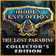 Download Hidden Expedition: The Lost Paradise Collector's Edition game