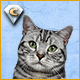 Download I Love Finding MORE Cats Collector's Edition game