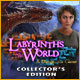Download Labyrinths of the World: A Dangerous Game Collector's Edition game