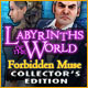 Download Labyrinths of the World: Forbidden Muse Collector's Edition game