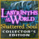 Download Labyrinths of the World: Shattered Soul Collector's Edition game
