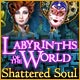 Download Labyrinths of the World: Shattered Soul game