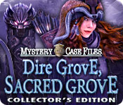 Mystery Case Files: Dire Grove, Sacred Grove Collector's Edition game