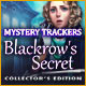 Download Mystery Trackers: Blackrow's Secret Collector's Edition game