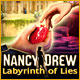 Download Nancy Drew: Labyrinth of Lies game