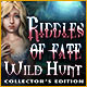 Download Riddles of Fate: Wild Hunt Collector's Edition game