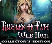 Riddles of Fate: Wild Hunt Collector's Edition game