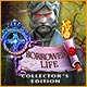 Download Royal Detective: Borrowed Life Collector's Edition game