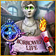 Download Royal Detective: Borrowed Life game