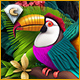 Twistingo: Bird Paradise Collector's Edition Game