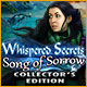 Download Whispered Secrets: Song of Sorrow Collector's Edition game