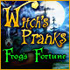 Witch's Pranks: Frog's Fortune Game