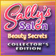 Download Sally's Salon: Beauty Secrets Collector's Edition game